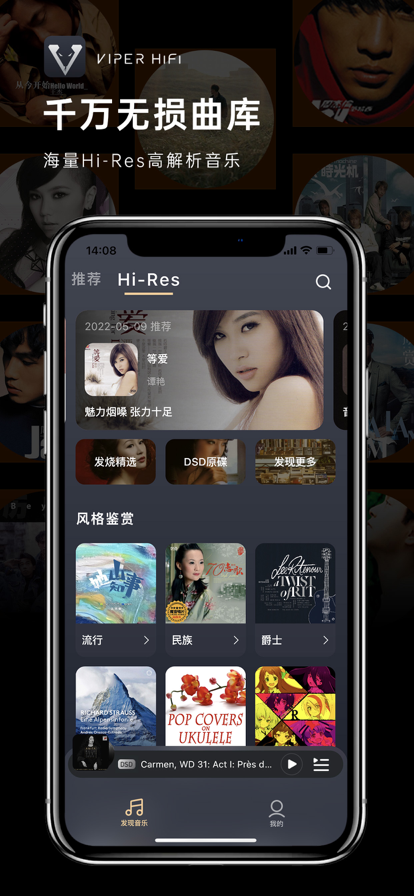 VIPER HiFiѰv4.1.7 ٷͼ3