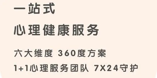 ¹2025°汾