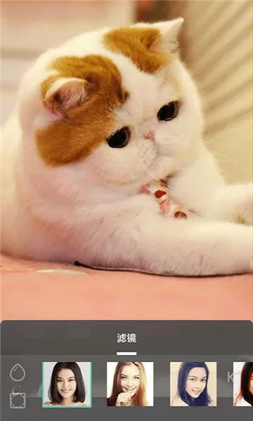 摸鱼鱼(游戏即点即玩)v1.53.0 免费版截图0