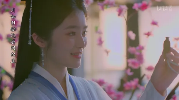 iBili(视频点播) iBili(视频点播)