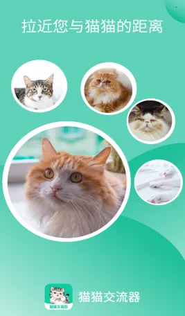 猫猫交流器最新手机版 猫猫交流器最新手机版