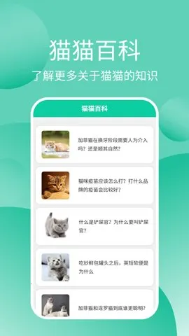 猫猫交流器最新手机版v3.3.7 免费版截图3