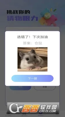 梦想脑力王2025官方最新版本 梦想脑力王2025官方最新版本