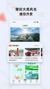 西江日报2025最新版本v5.16.0 手机版截图3