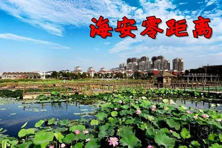 海安零距离2025官方正版 海安零距离2025官方正版