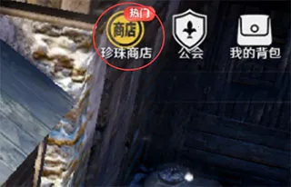 黑色沙漠(黑色沙漠(开放冒险游戏)) 黑色沙漠(黑色沙漠(开放冒险游戏))