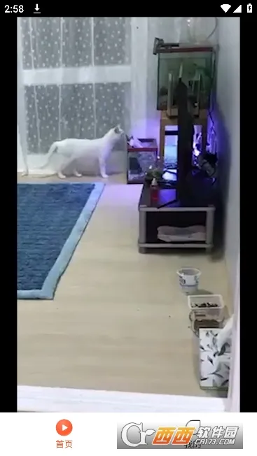 飞鱼短剧(短剧播放平台)v1.0.0 免费版截图0