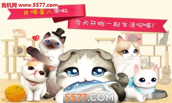 猫猫咖啡屋(猫咖经营游戏) 猫猫咖啡屋(猫咖经营游戏)