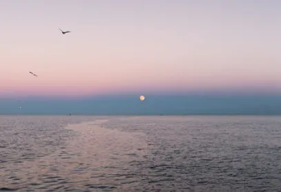 小说阅读吧2025官方最新版本 小说阅读吧2025官方最新版本