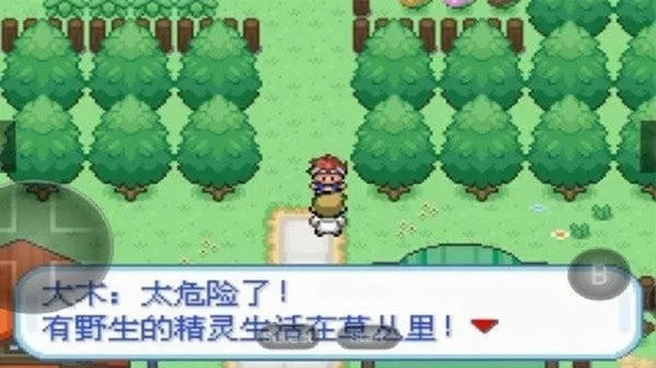 口袋妖怪暴龙版最新手机版v2.0.0 官方正版截图0