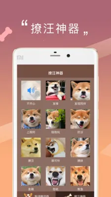 人狗交流器2025官方正版v2.0.3 免费版截图2