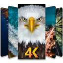 ֻ4Kֽapp2025ذװv1.0.6 ٷ