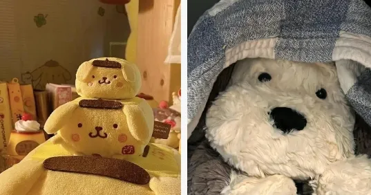 wall壁纸引擎最新手机版 wall壁纸引擎最新手机版