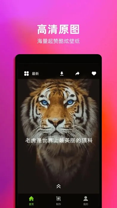 4k动态壁纸最新手机版 4k动态壁纸最新手机版