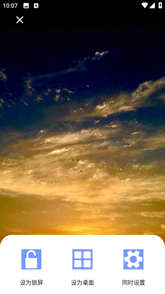 小猪壁纸(高清壁纸库) 小猪壁纸(高清壁纸库)