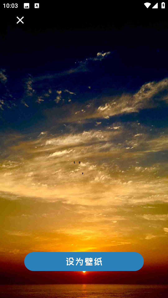 小猪壁纸(高清壁纸库)v1.0.2 官方正版截图1