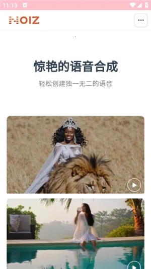 NoizAI2025°汾v1.0 Ѱͼ1