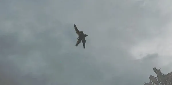 ָ2025ٷ°汾v20.5.430 ׿ͼ4