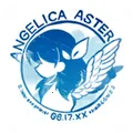 ANGELICA ASTER(ŮϷ)v1.17.2 ׿