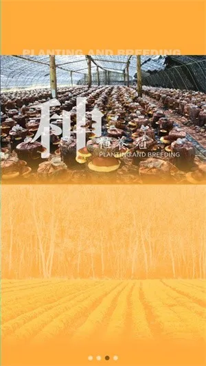 ɭũ(ũۺϷ)v1.0.12 Ѱͼ1