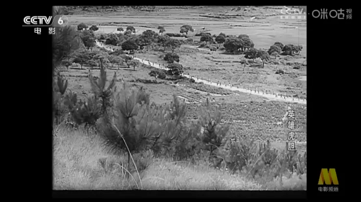 清风(多功能工具箱)v3.6.1 手机版截图1