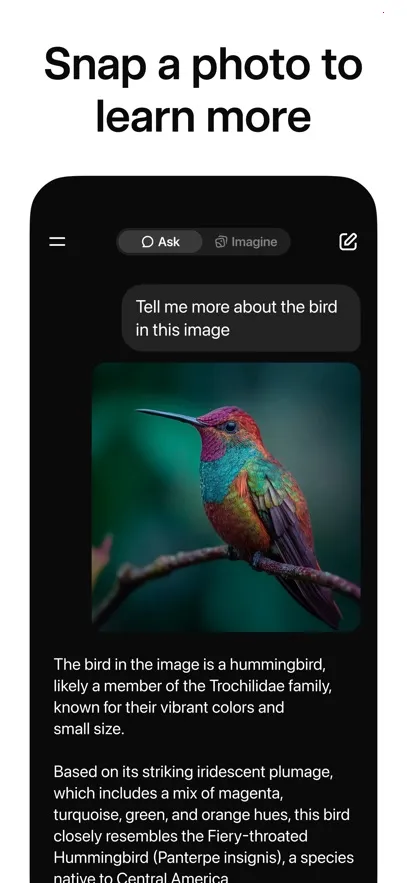 Grok2025ٷ°汾v1.0.37-release.00 Ѱͼ4