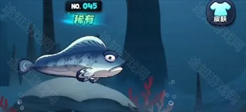 鱼吃鱼(海底吞噬游戏) 鱼吃鱼(海底吞噬游戏)