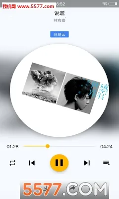 音乐湖(音乐播放管理)v5.0.4.37 官方正版截图0