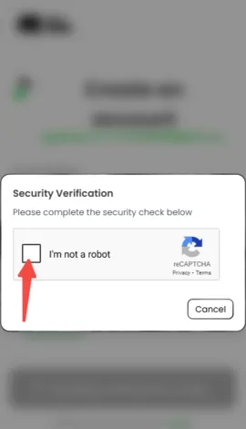 Anuneko2025最新版本v3.0 免费版截图1