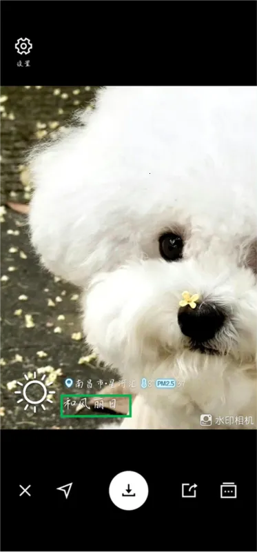 水印相机(图片加水印软件) 水印相机(图片加水印软件)