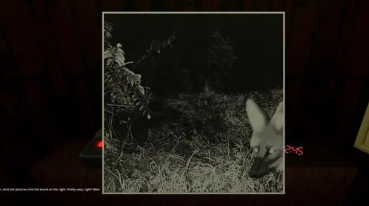 动物观察员2025下载安装v1.0 手机版截图2