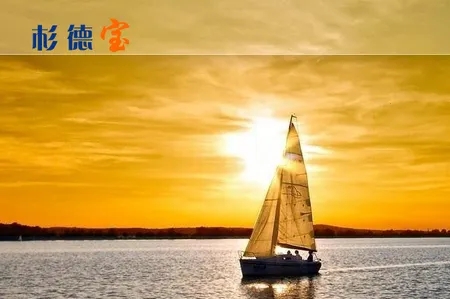 杉德宝2025官方正版 杉德宝2025官方正版