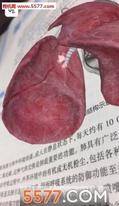 ͼֵ2025ٷ°汾v3.2.3 ٷͼ0