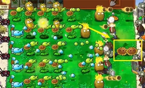 植物大战僵尸IC2025官方最新版本 植物大战僵尸IC2025官方最新版本