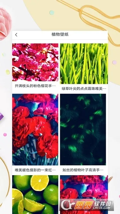 Mix壁纸(壁纸资源平台)v1.0.0 手机版截图1