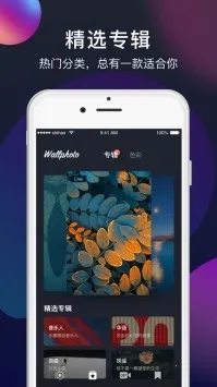 Mix壁纸(壁纸资源平台)v1.0.0 手机版截图4
