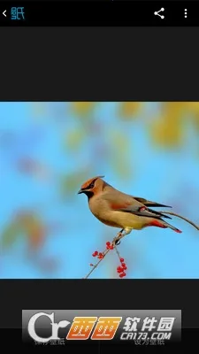 好多壁纸2025下载安装v5.4.5 手机版截图2