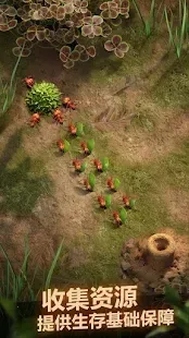 蚂蚁地下王国(蚂蚁模拟游戏)v3.70.0 官方正版截图3