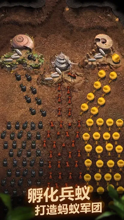 蚂蚁地下王国(蚂蚁模拟游戏)v3.70.0 官方正版截图2