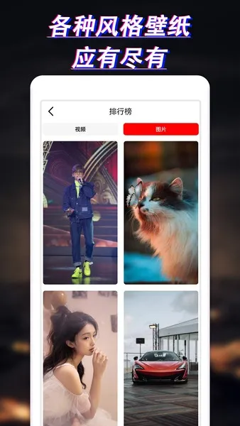 布丁壁纸最新手机版v9.7.6 免费版截图3