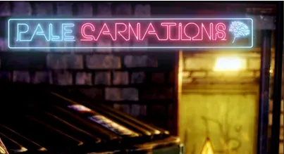 ����ܰ���ֲ�(ģ�⾭Ӫ����)