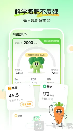 Calmomo2026���°汾