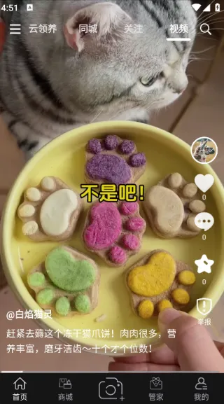 outlets(�����罻ƽ̨)