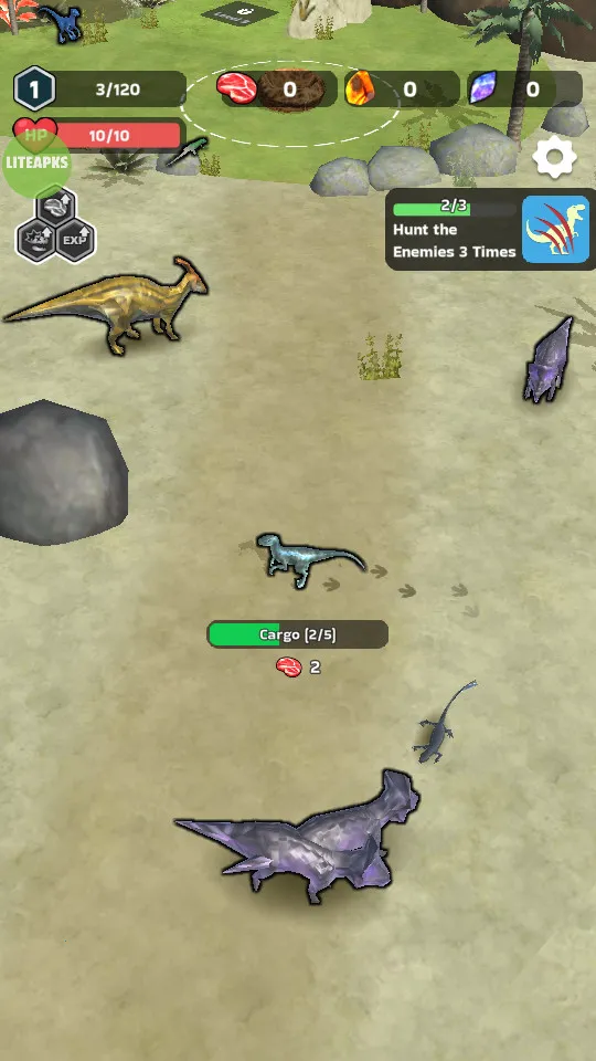 ��������