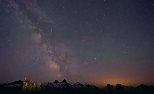 tampermonkey���