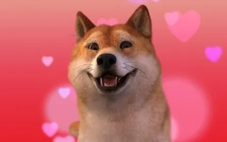 facerig�ƽ������