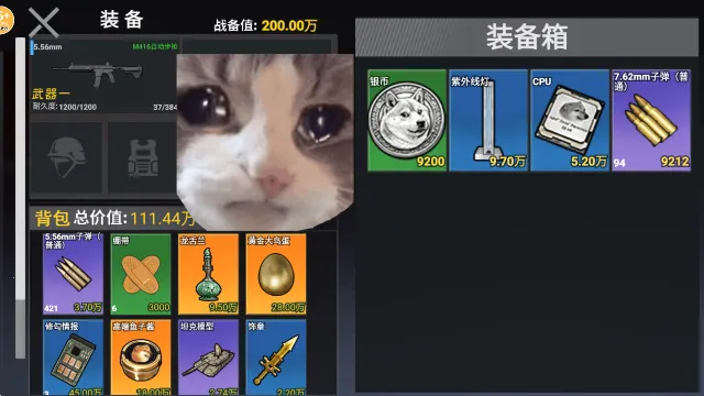 �޹�������