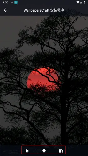 wallcraft��������