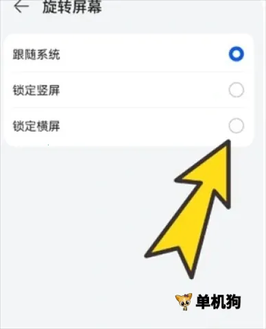 bobo������޹���ȫ��ͨ��ɫ��