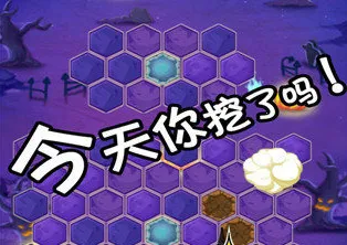 ����Ѱ��